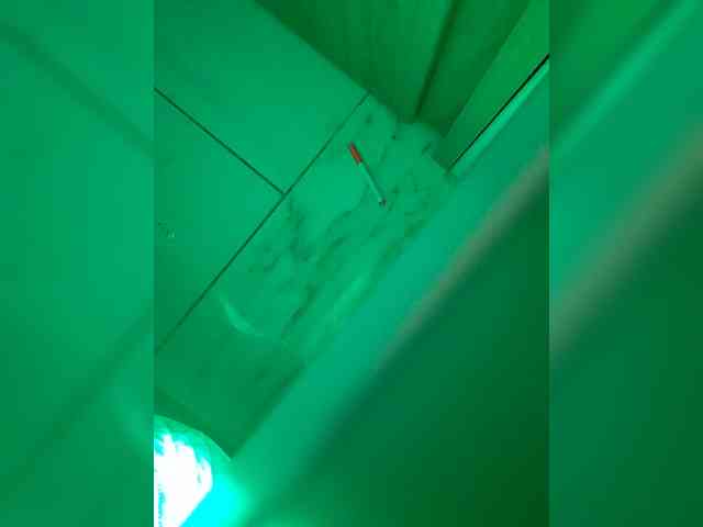 su_velvet webcam