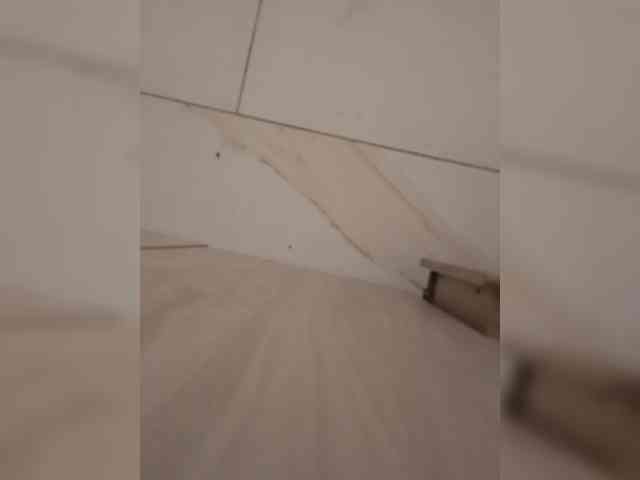 Modelo: su_velvet