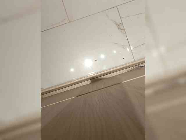 su_velvet webcam
