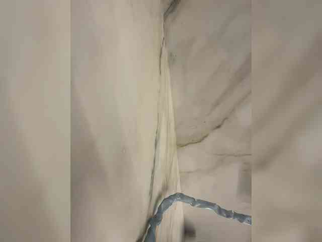 su_velvet webcam