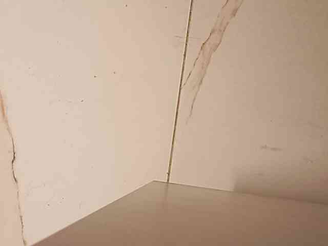 su_velvet webcam