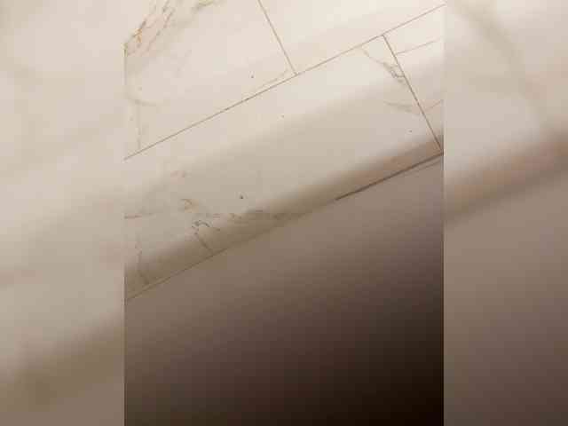 su_velvet webcam