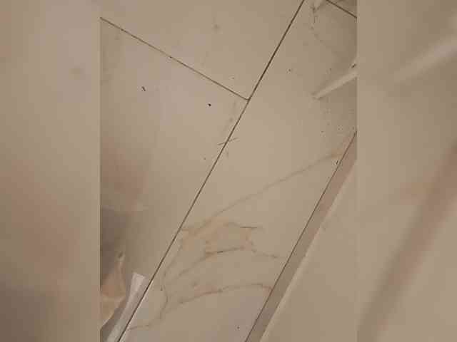 su_velvet webcam