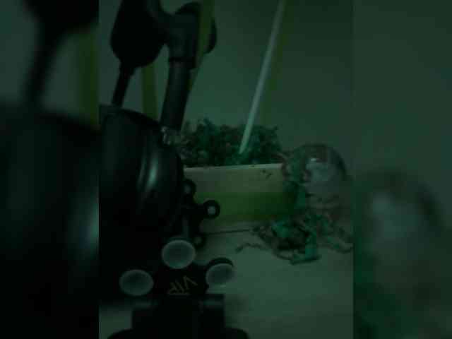 su_velvet webcam