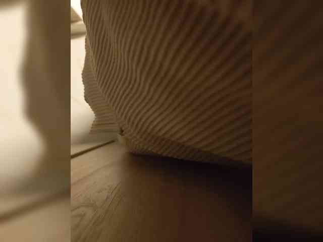 su_velvet webcam