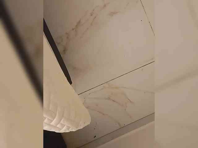 su_velvet webcam