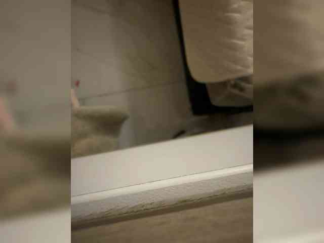 su_velvet webcam