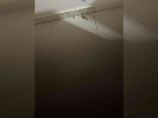 su_velvet webcam