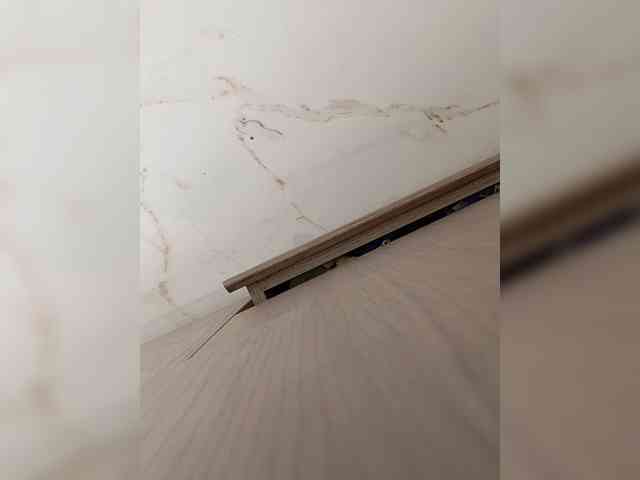 su_velvet webcam