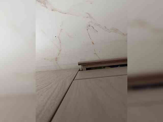 su_velvet webcam