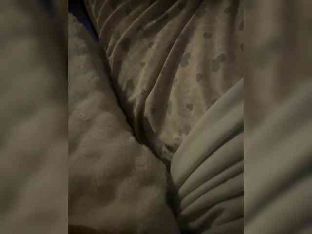 su_velvet webcam