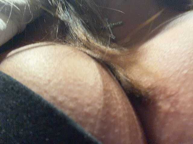 OrgazMia