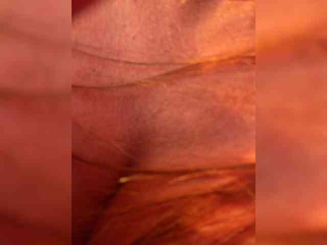 OrgazMia