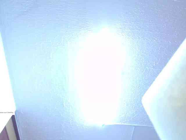 Charlotemple5 webcam