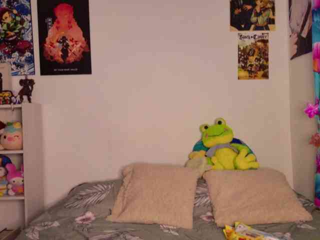 ElaEndez webcam