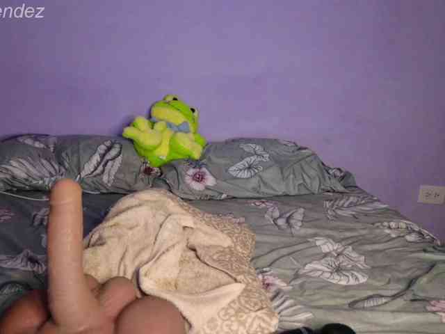 ElaEndez webcam