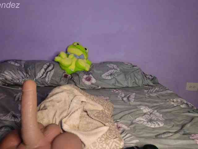 ElaEndez webcam