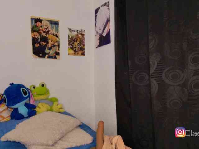ElaEndez webcam