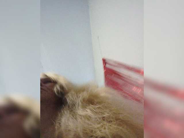 victoria71 live cam on BongaCams