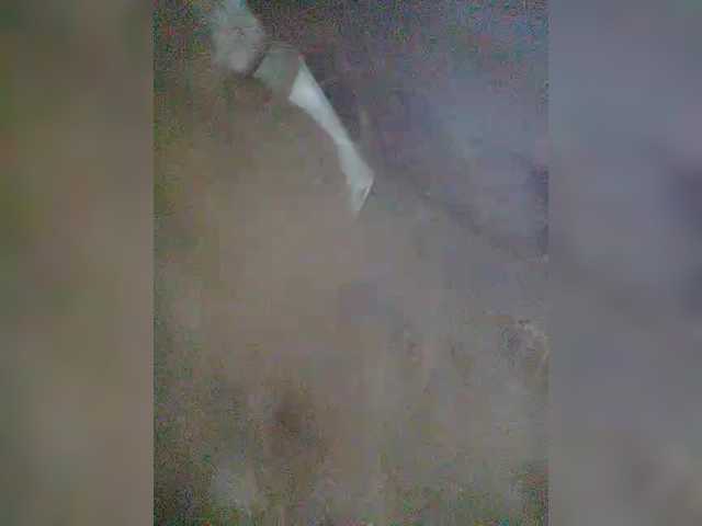 victoria71's BongaCams show and profile