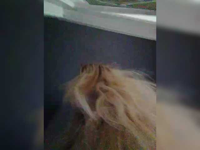 victoria71's BongaCams show and profile