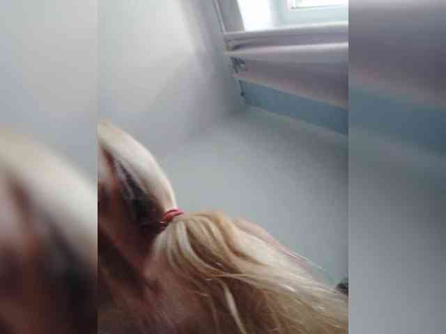 Victoria-sexi webcam