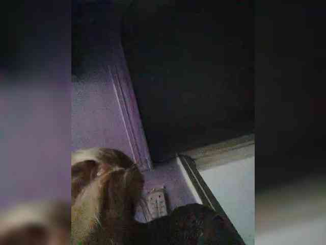 Victoria-sexi webcam