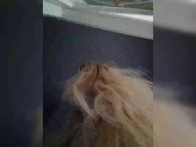 Victoria-sexi webcam