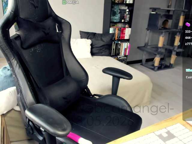 Web-cam-ange1