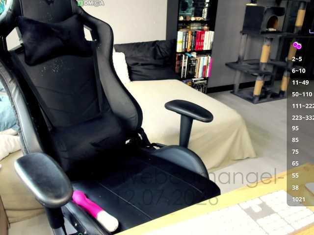 Web-cam-ange1