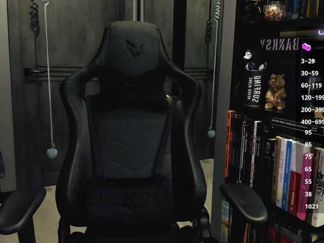 Web-cam-ange1