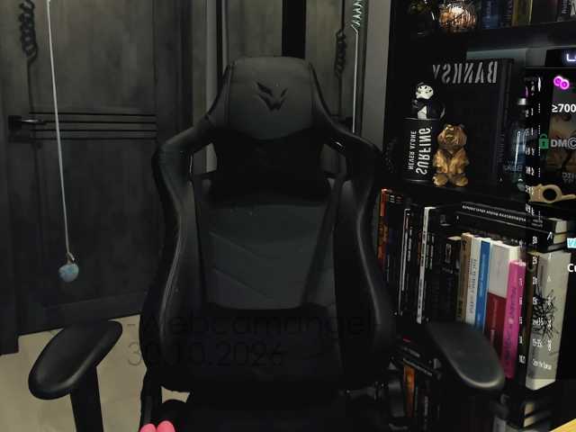 Web-cam-ange1