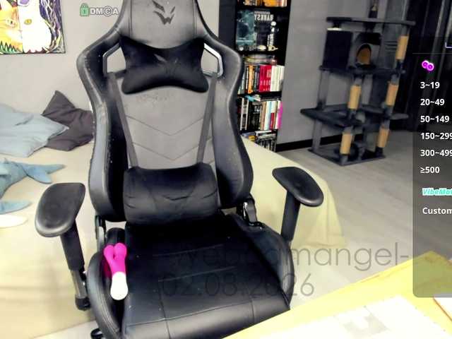 Web-cam-ange1