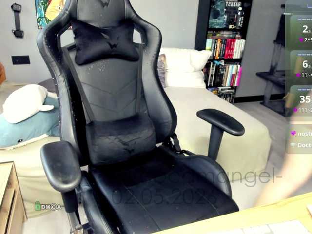 Web-cam-ange1