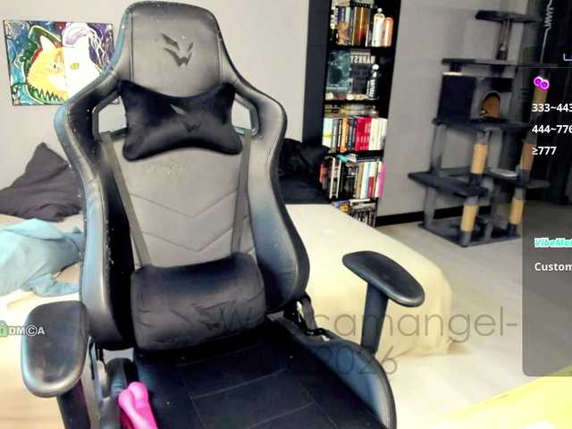 Web-cam-ange1