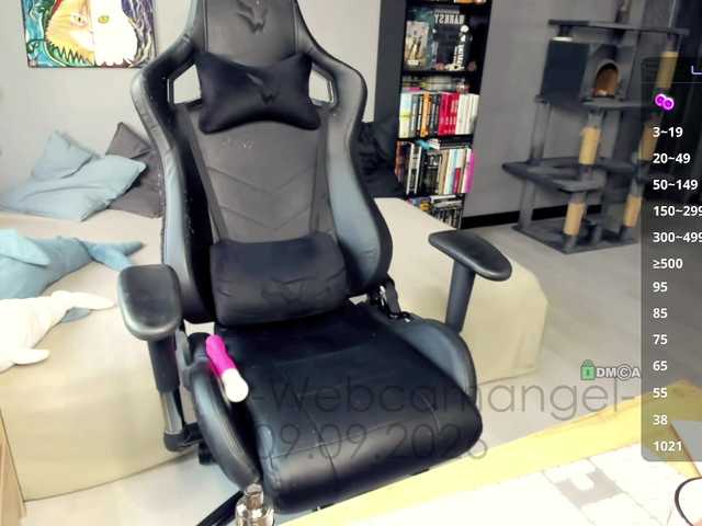 Web-cam-ange1