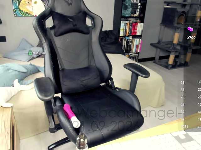 Web-cam-ange1