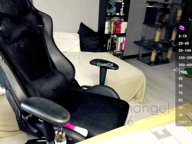 Web-cam-ange1