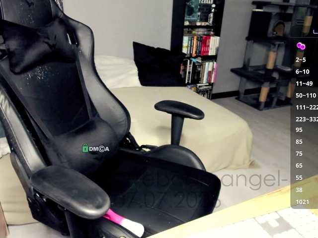 Web-cam-ange1