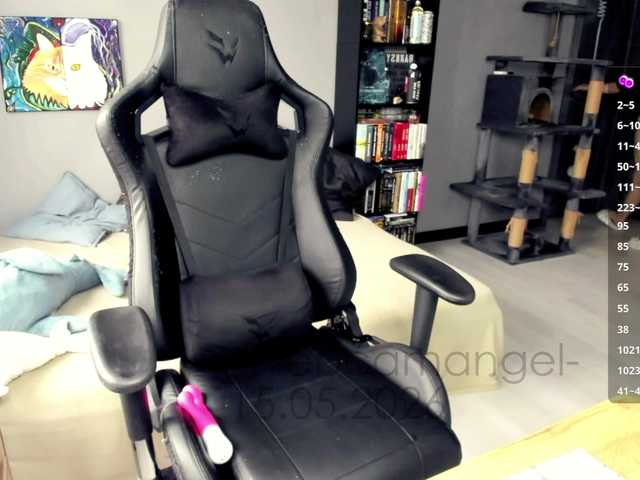 Web-cam-ange1