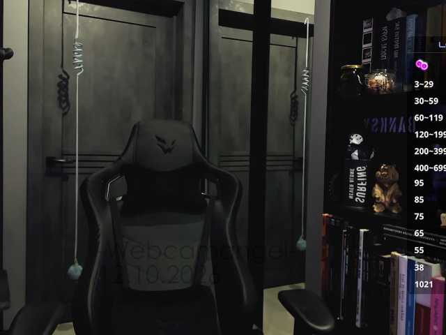Web-cam-ange1