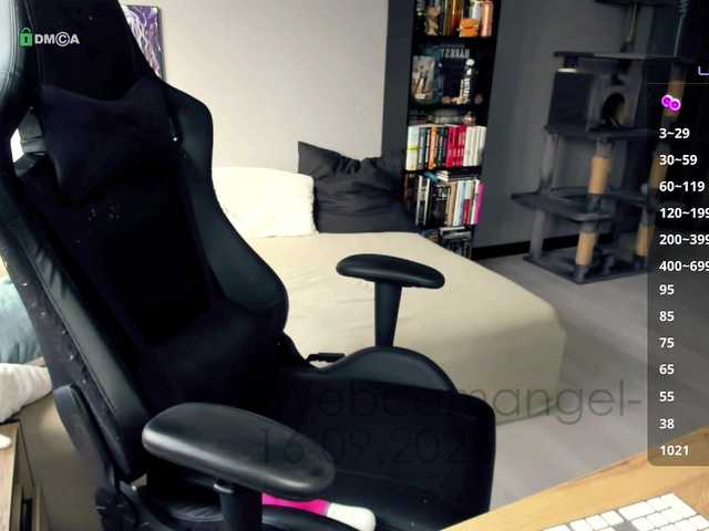 Web-cam-ange1