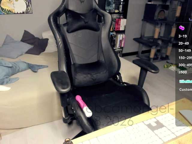 Web-cam-ange1