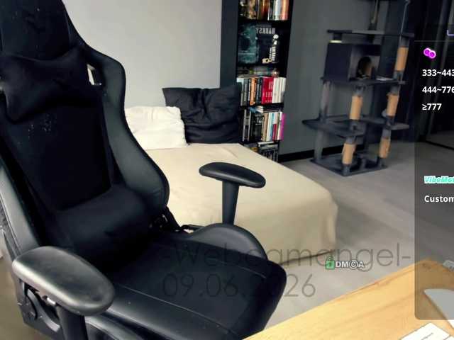 Web-cam-ange1