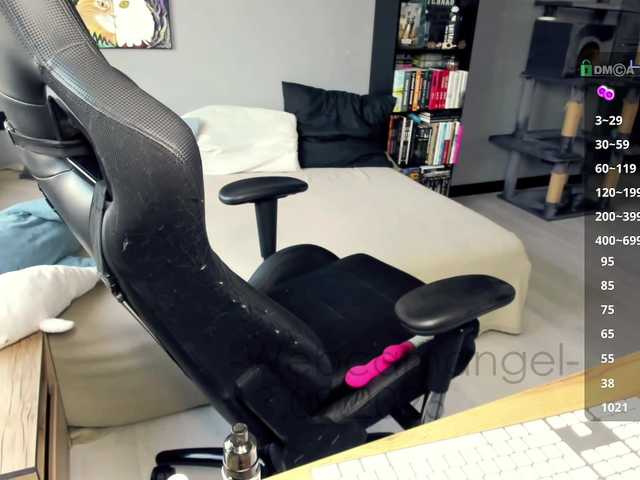 Web-cam-ange1