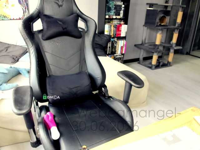 Web-cam-ange1