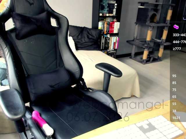 Web-cam-ange1