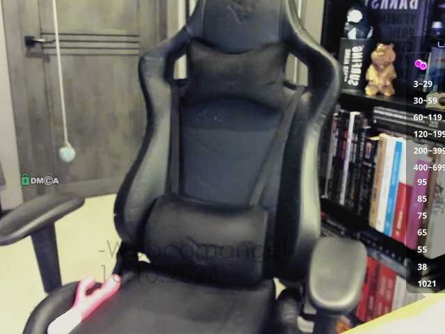 Web-cam-ange1
