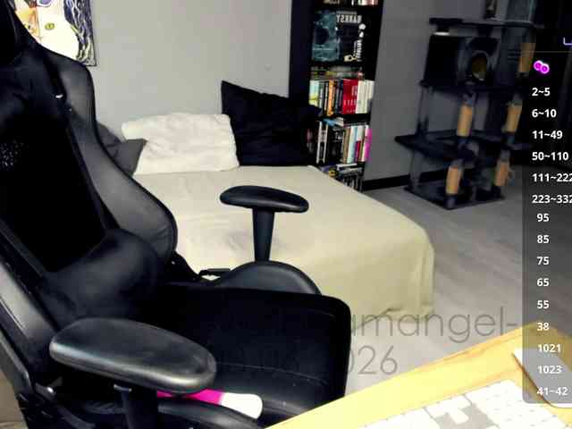 -Web-cam-angel- webcam