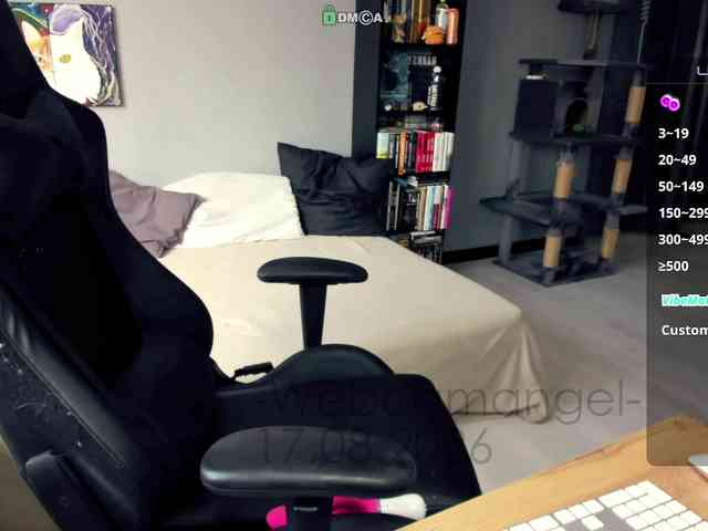 -Web-cam-angel- webcam